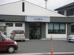 しまづ整形外科