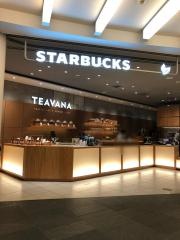 スターバックスコーヒー　六本木ヒルズメトロハット／ハリウッドプラザ店