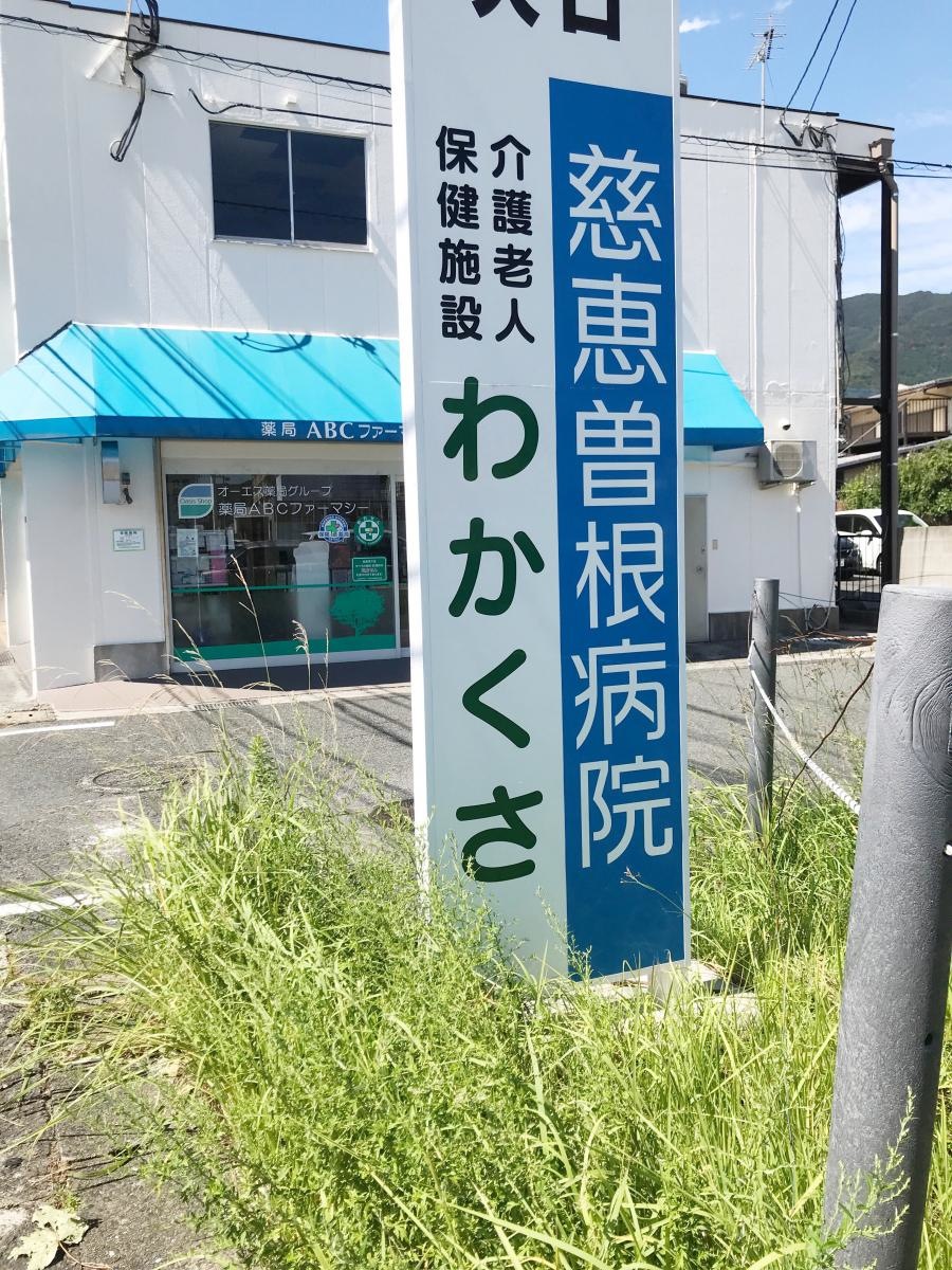 わかくさ