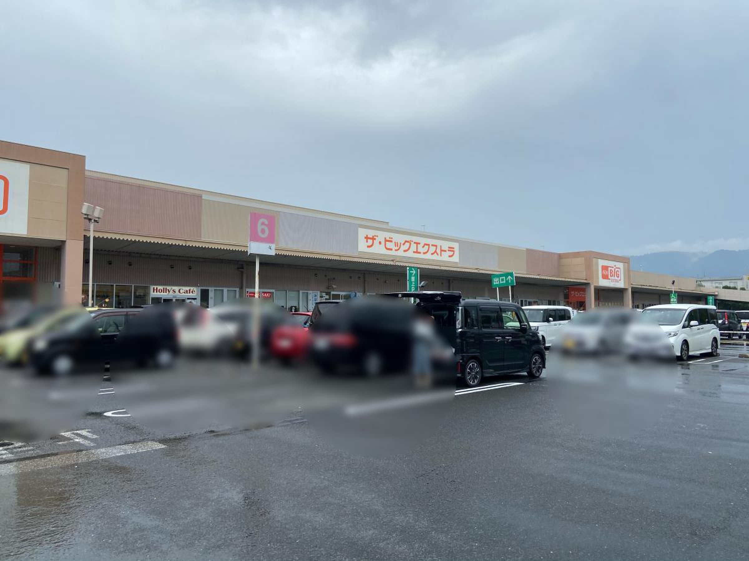ザ ビッグ エクストラ 大安寺 店