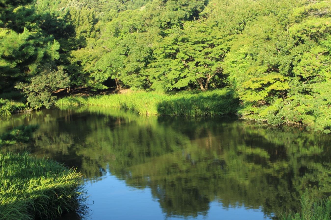称名寺庭園