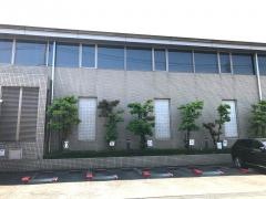 大泉学園町体育館