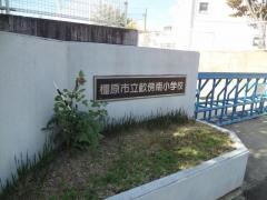 畝傍南小学校