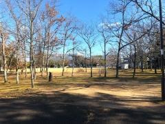 桜が丘公園