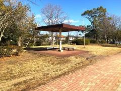 桜が丘公園
