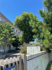松山市立西中学校
