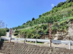 優峰園フルーツランド