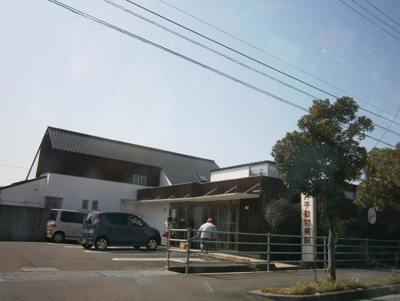 井手動物病院
