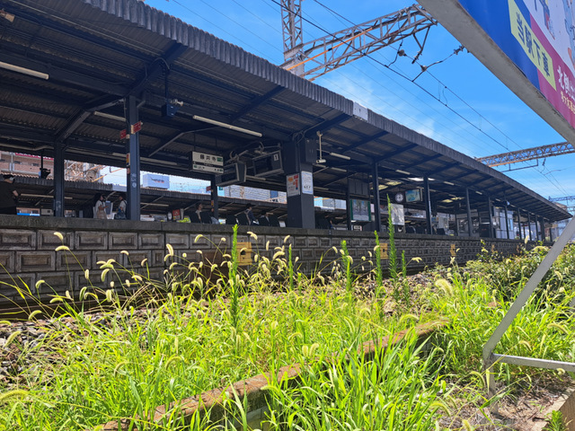 藤井寺駅