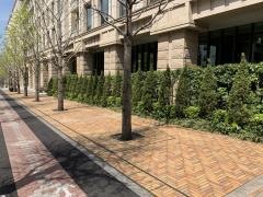 株式会社かんぽ生命保険　南東京法人支店