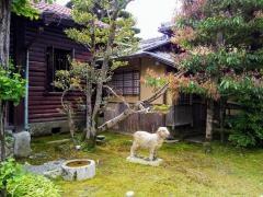 五個荘近江商人屋敷　藤井彦四郎邸