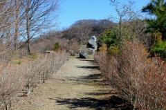 愛宕山記念公園