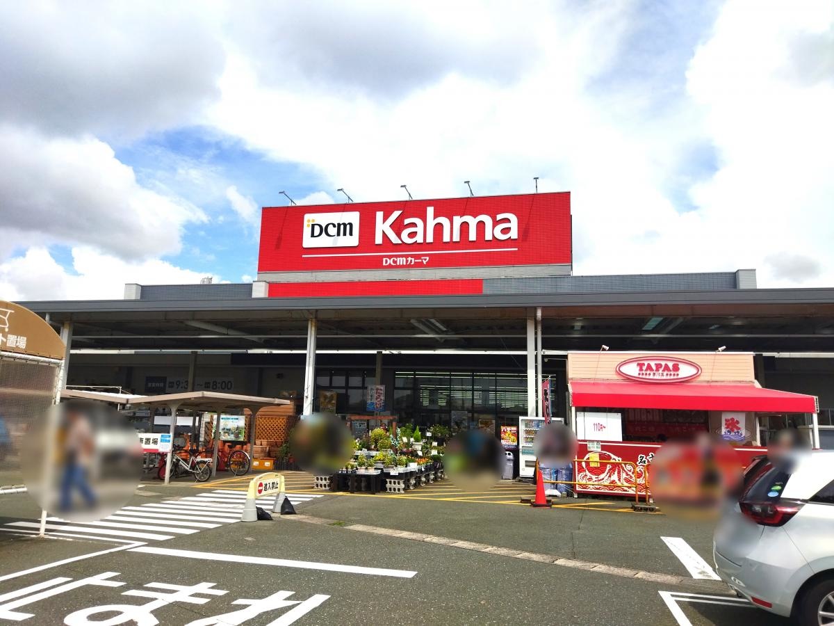 南西から