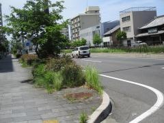 菊ノ尾街園