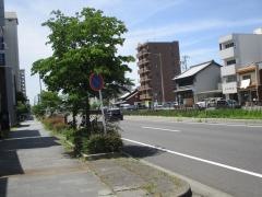 菊ノ尾街園