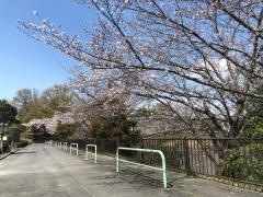 神沢池街園