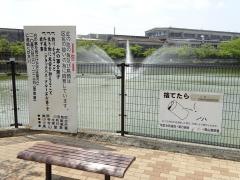 大池公園
