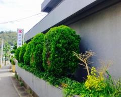 高尾産婦人科医院