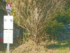 「中塚」バス停留所