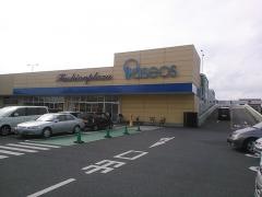 パシオス坂戸千代田店