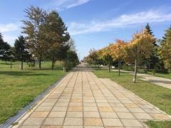 紅葉山南公園
