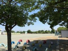 豊野小学校