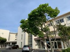 焼津市立港中学校
