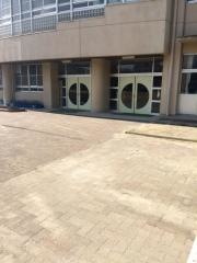 柳小学校