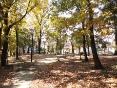 第四十四号表山緑地
