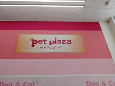 マーケットピア ホームセンターコーナン 福知山店 福知山市その他の地域