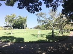 高塚地区公園