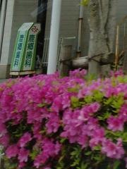 鹿郷歯科医院