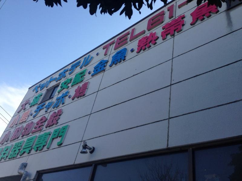 店舗外観（北側）。