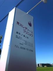 荒川レディースクリニック