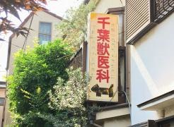 千葉獣医科