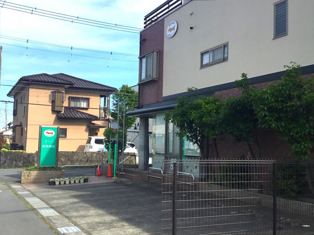 マーハ動物病院