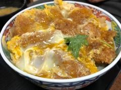 ふつうの食道きらく