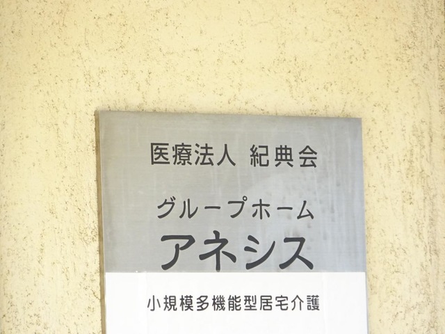 アネシス
