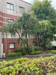 北九州市立　医療センター