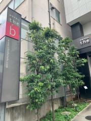ザ・ビー赤坂見附