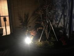 楓みみはなのどクリニック