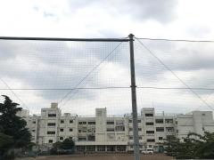 柳橋小学校