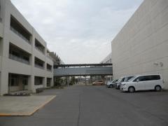 正木小学校