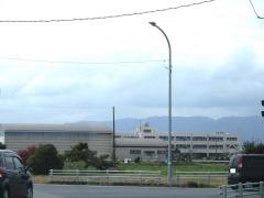 桑原小学校