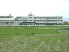 桑原小学校