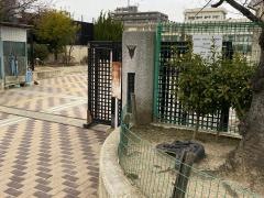 豊島小学校