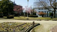 中央公園