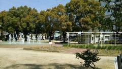 中央公園