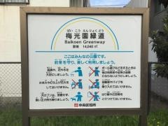梅光園緑道