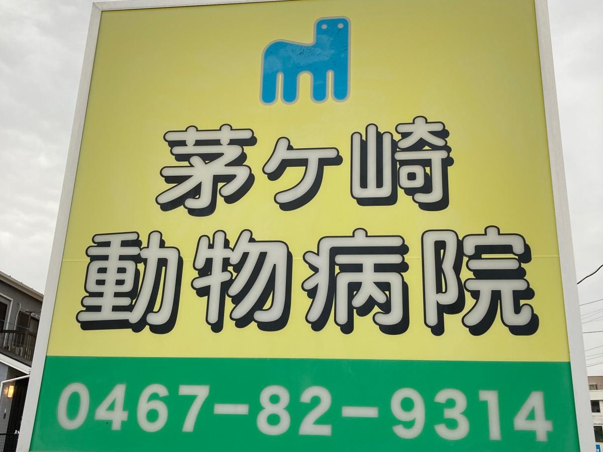 茅ヶ崎動物病院の施設外観です。